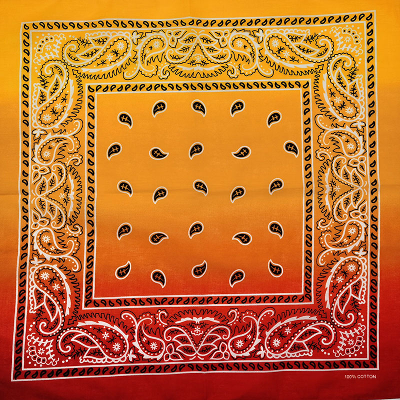 Fashion Unisex Black Paisley H - Bandana Blank White บทวิจารณ์และราคา