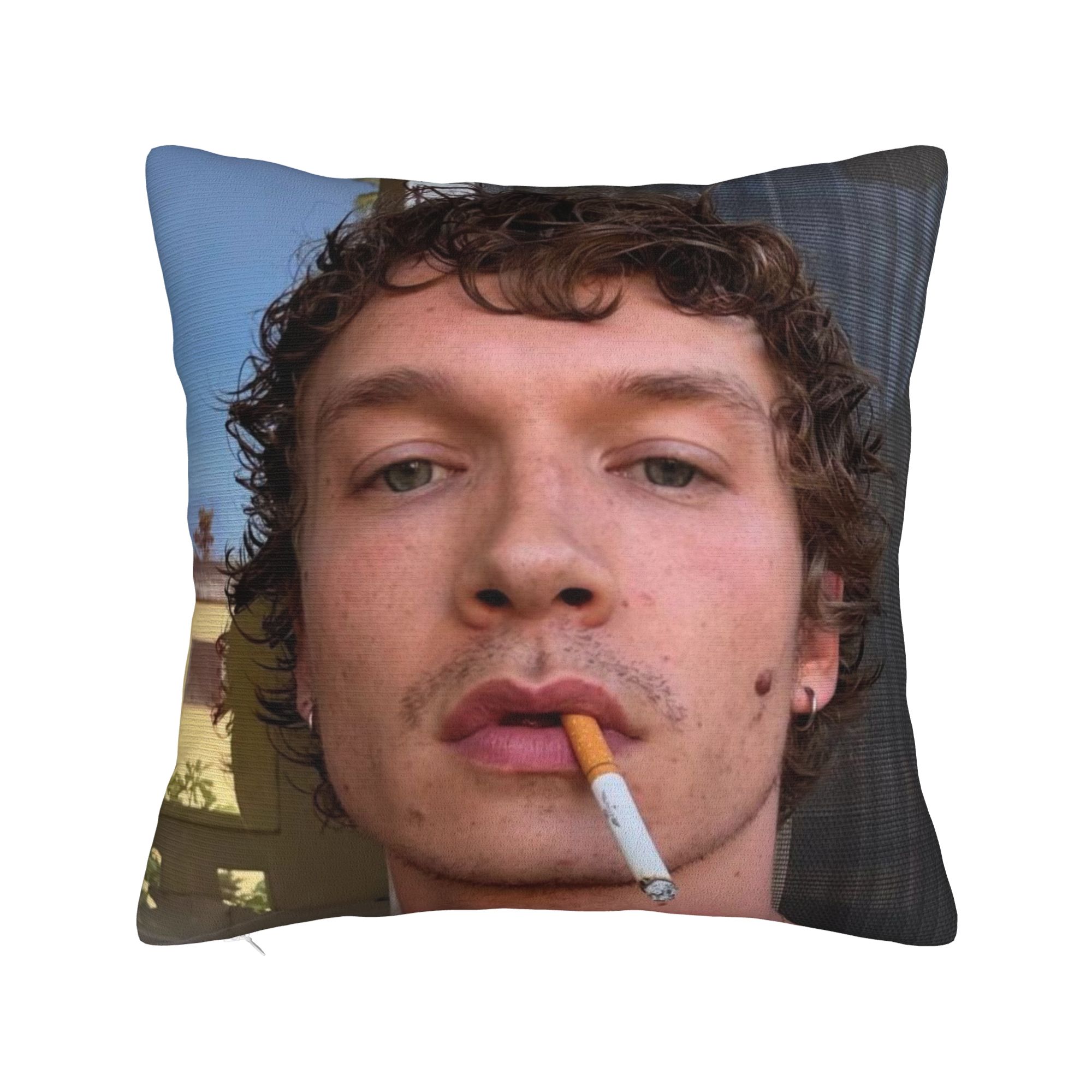 Decorative Pillow Cover Hudson - Pillow Cover Sublimation บทวิจารณ์และราคา